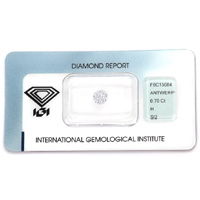 Diamant vom Juwelier mit Zertifikat Artikelnummer D6630