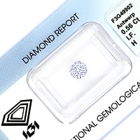 Diamant vom Juwelier mit Zertifikat Artikelnummer D6822