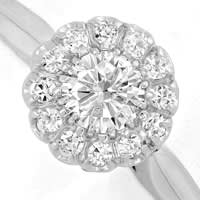 zum Artikel Damenring Diamantblüte 0,45ct in 14K Weißgold, R1407
